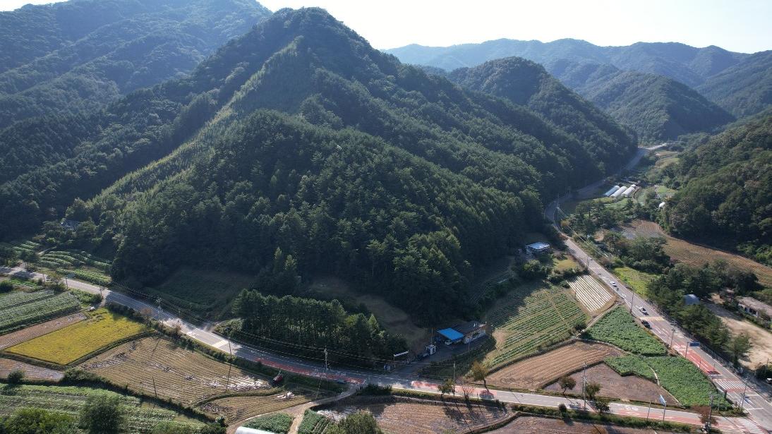 2차선 도로 삼거리에 접한 임야